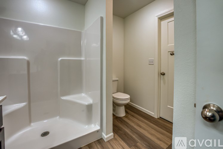 A bathroom with a toilet and a walk-in shower.