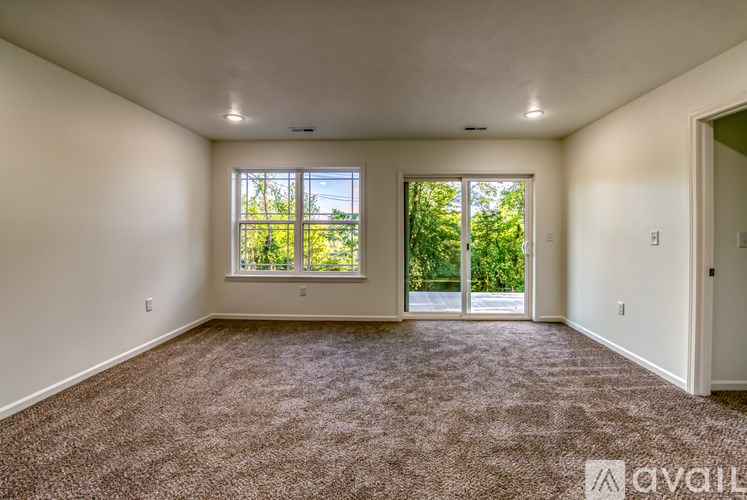 A spacious room with carpeted floor and two windows letting in natural light.
