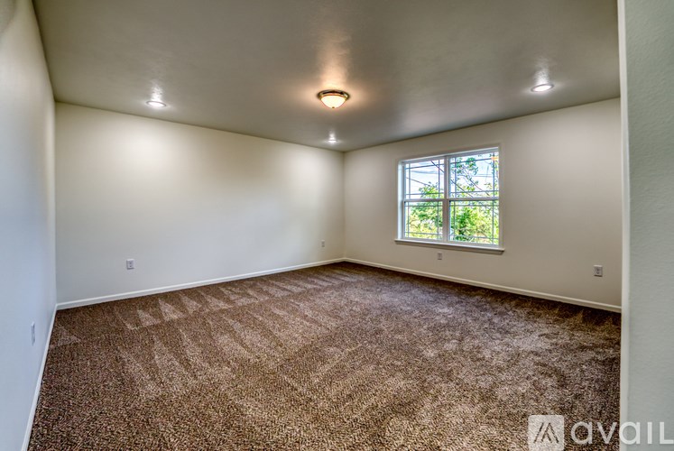 A room with a carpeted floor and a window letting in natural light.
