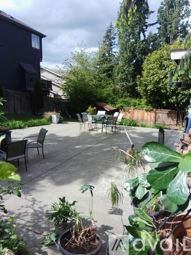 A backyard with a patio, chairs, and a potted plant.