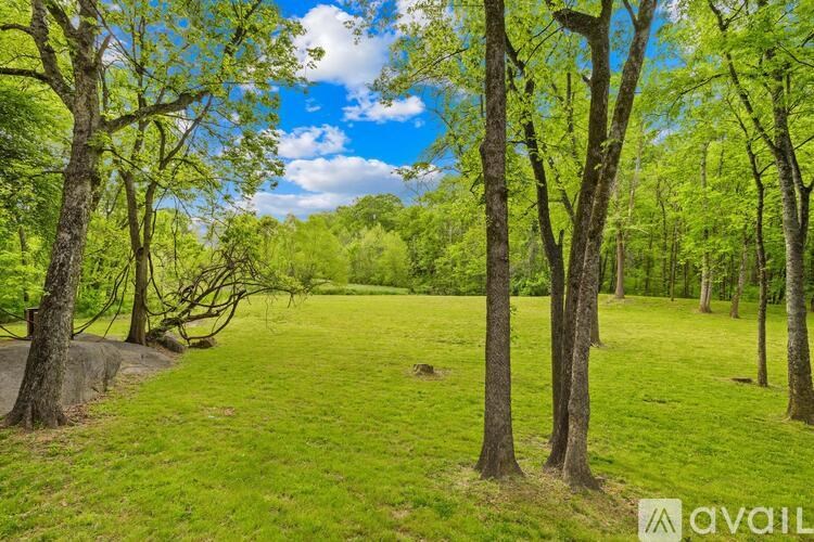 A grassy field with trees and a clear blue sky.