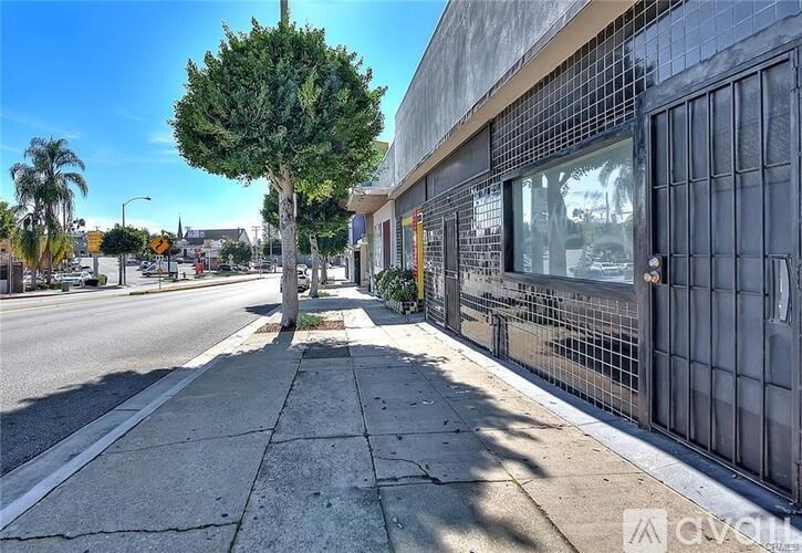 A tree stands on a sidewalk next to a building with a metal fence.