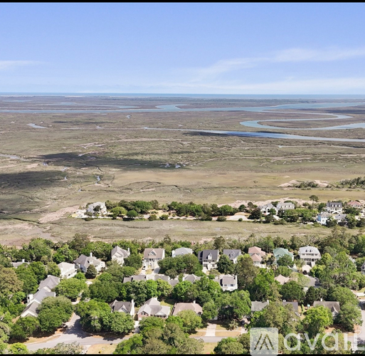 A bird's eye view of a residential area with houses surrounded by trees and a body of water in the distance.