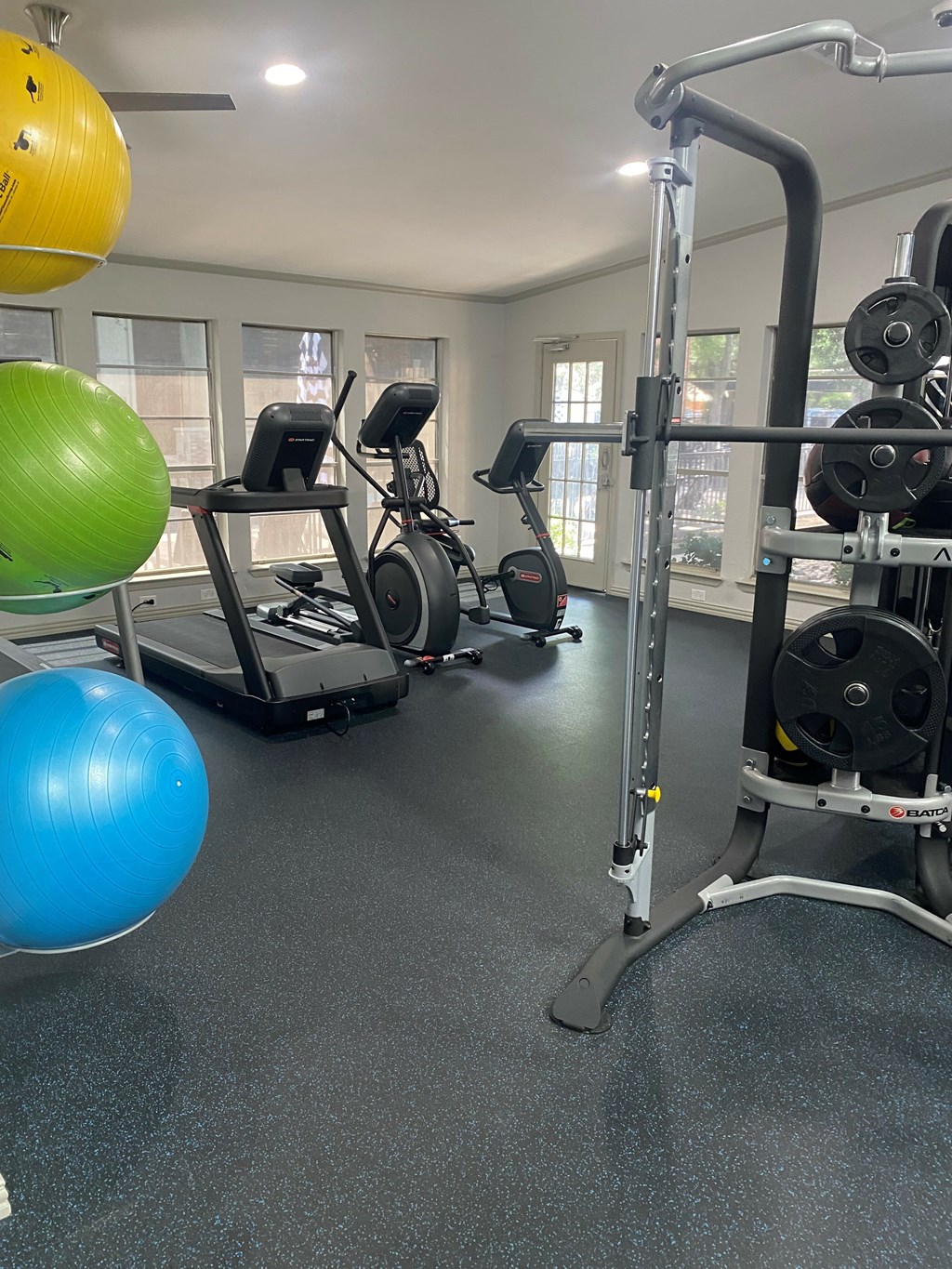 A gym with a treadmill, exercise bike, and weights.