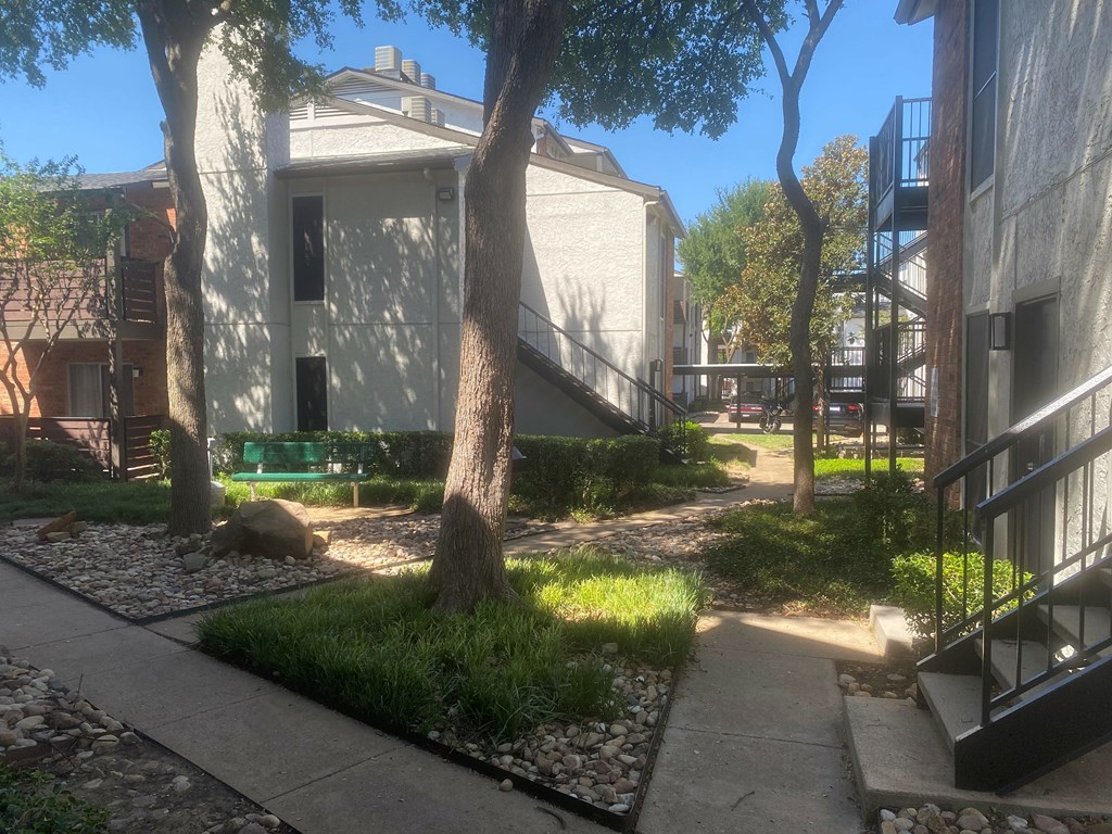A tree in a courtyard with a building in the background.