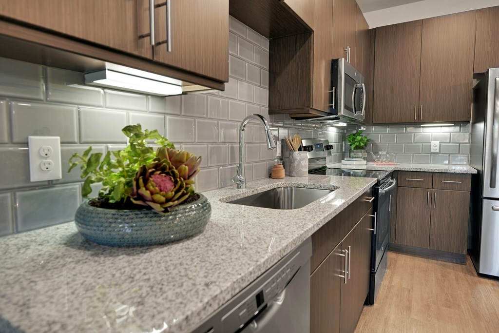 12408 Dessau Rd. 1-3 Beds Apartment for Rent - Photo Gallery 13