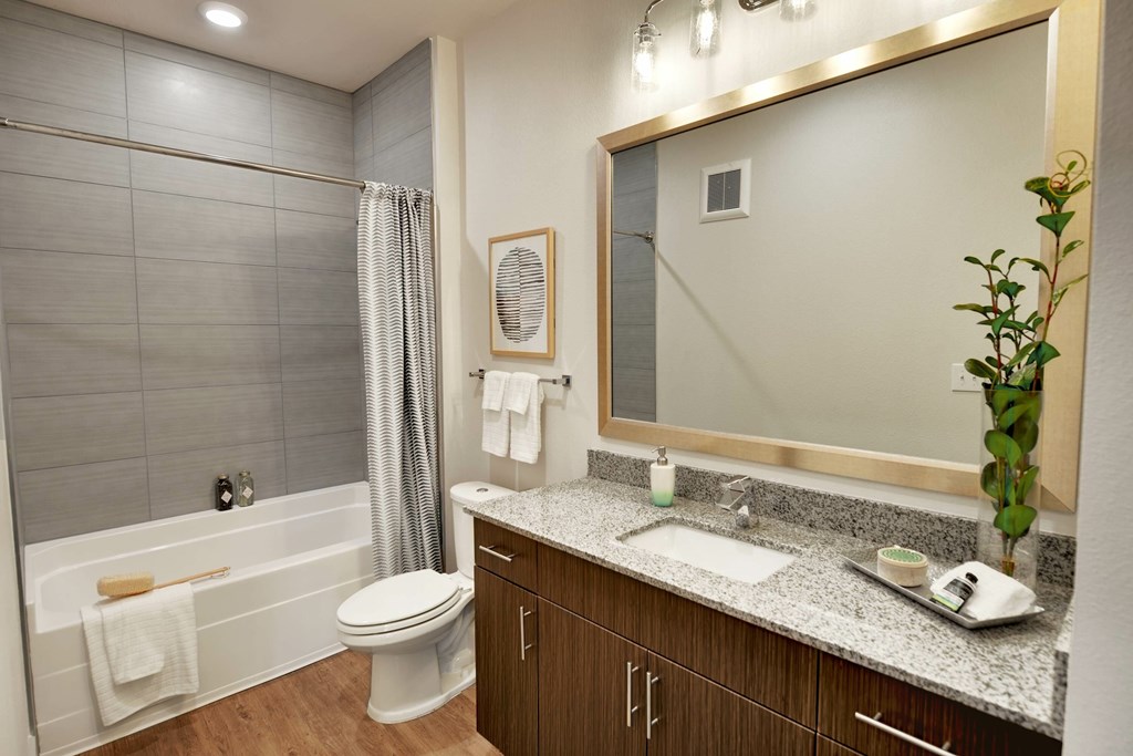12408 Dessau Rd. 1-3 Beds Apartment for Rent - Photo Gallery 18