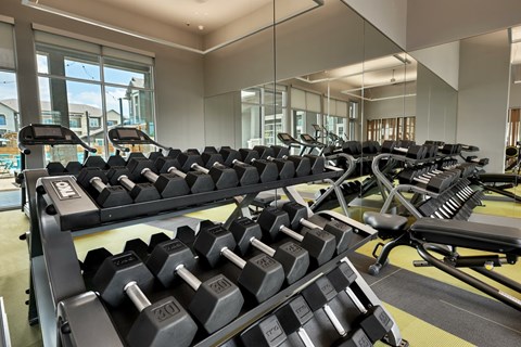 A gym with a row of dumbbells and weight plates.