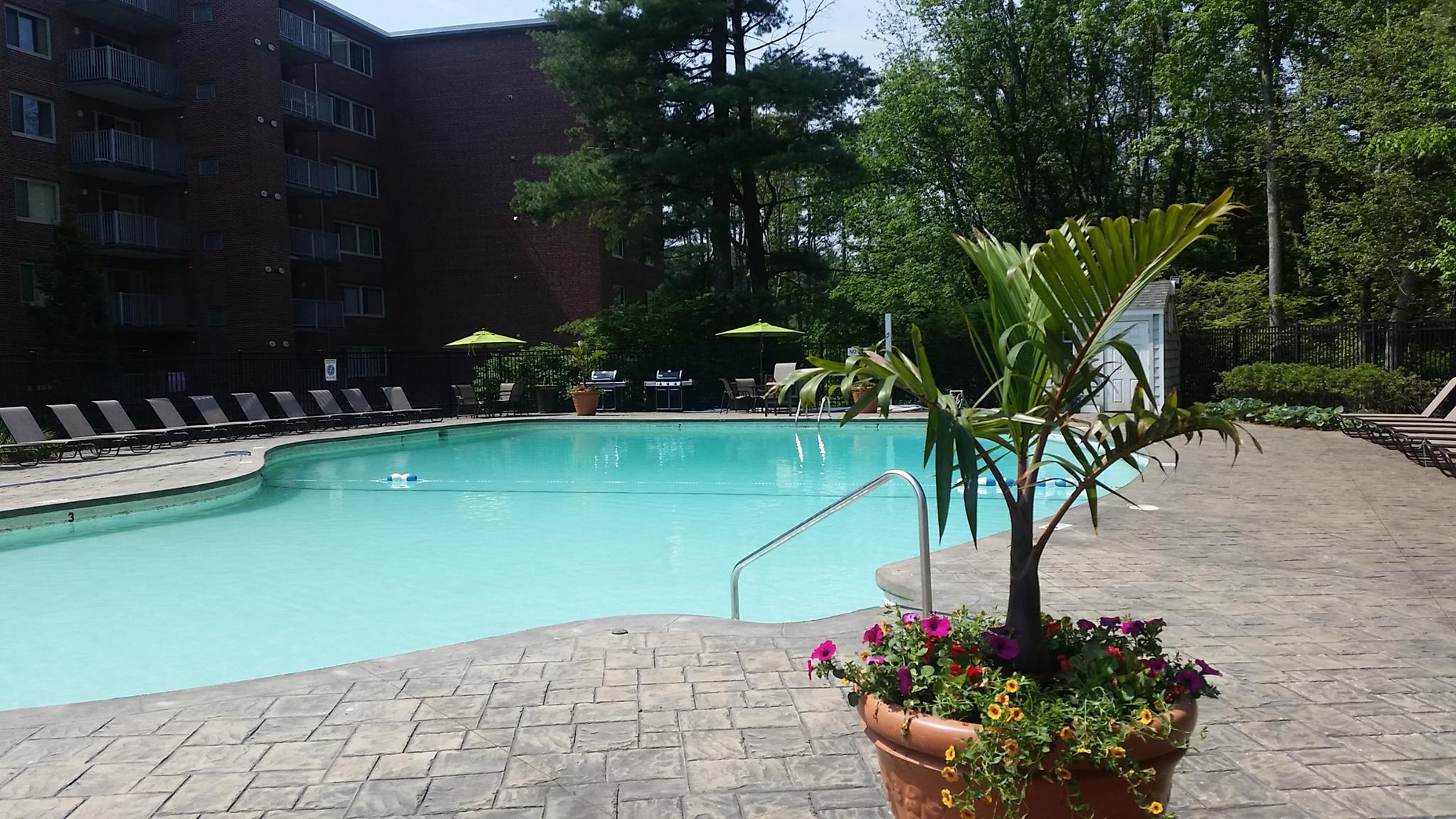 Water View Village pool