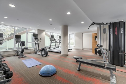 A gym with a variety of equipment including a treadmill, weights, and a bench press.