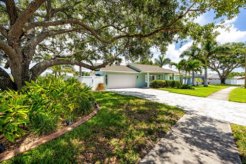 A house with a driveway and a large tree in front.