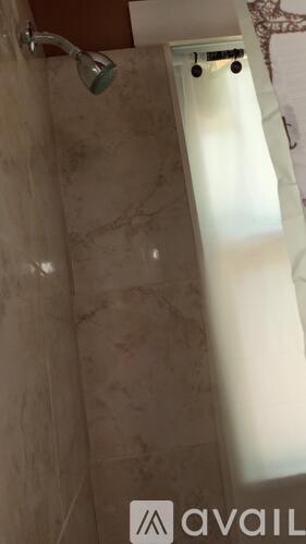 A shower area with a glass door and a shower head.