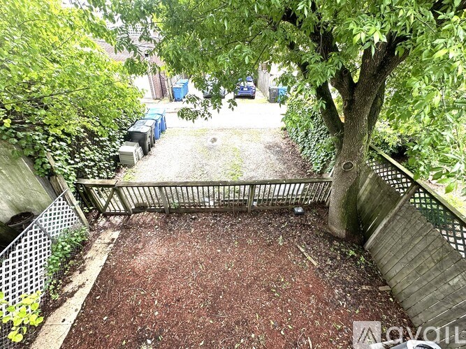 A tree in a yard with a metal fence.