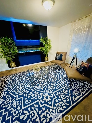 A room with a blue and white patterned rug, a potted plant, a chair, and a tripod with a camera on it.