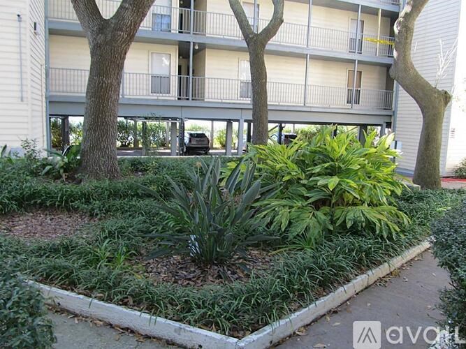 A garden in front of a building with a tree and plants.