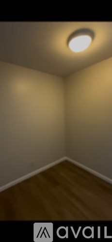 A room with a wooden floor and a ceiling light.