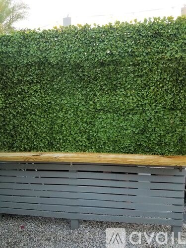 A wall of green leaves with a wooden bench in front.