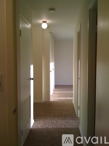 A long hallway with carpeted floors and doors on both sides.