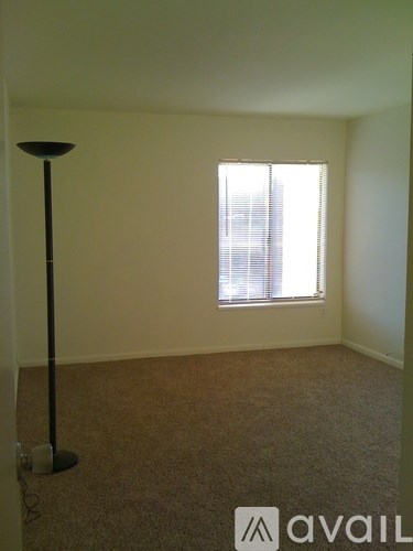 A room with a carpet floor, a floor lamp and a window with blinds.