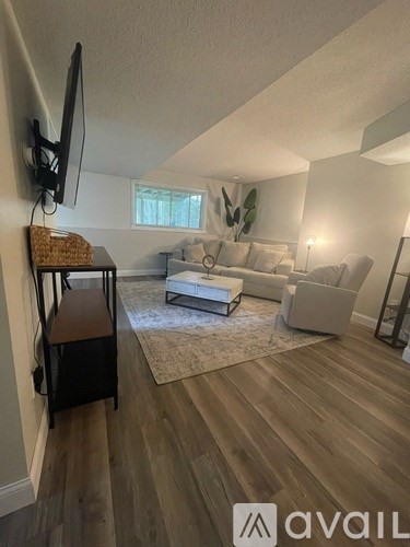 A living room with a television, a couch, and a rug.