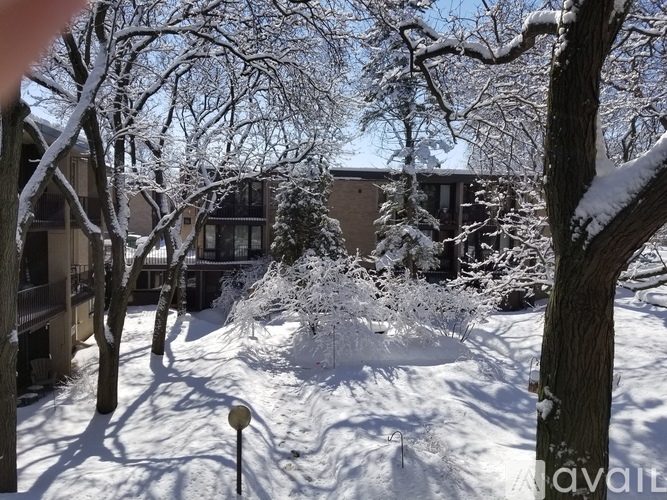 A snowy scene with trees and a building in the background.