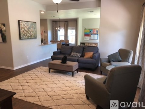 A living room with a grey couch and a white rug.