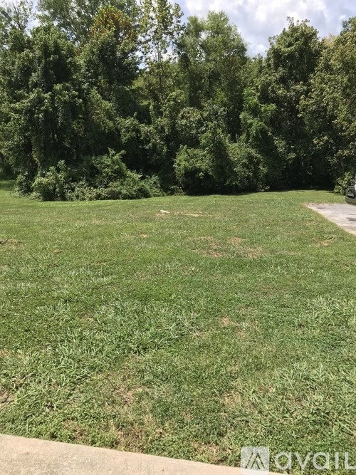 A grassy field with trees in the background.