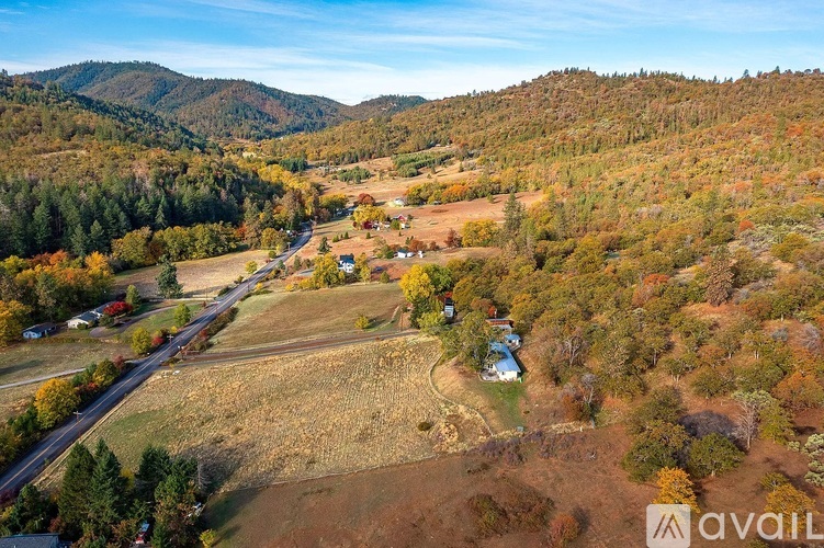 A rural landscape with a road and a house surrounded by trees.