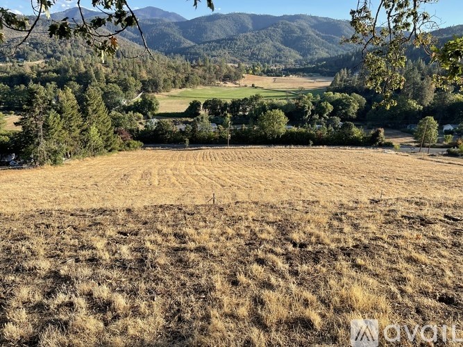 A field with dry grass and trees in the background.