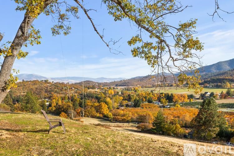 A bench is situated under a tree in a field with autumn trees in the background.
