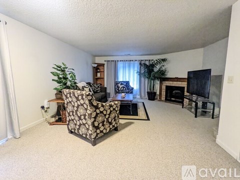A living room with a patterned chair and a television.