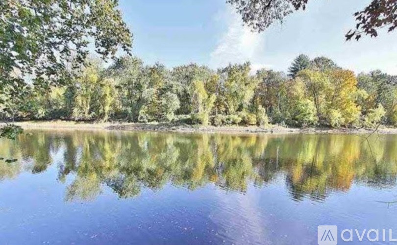 A serene lake surrounded by trees reflecting the sky and foliage.