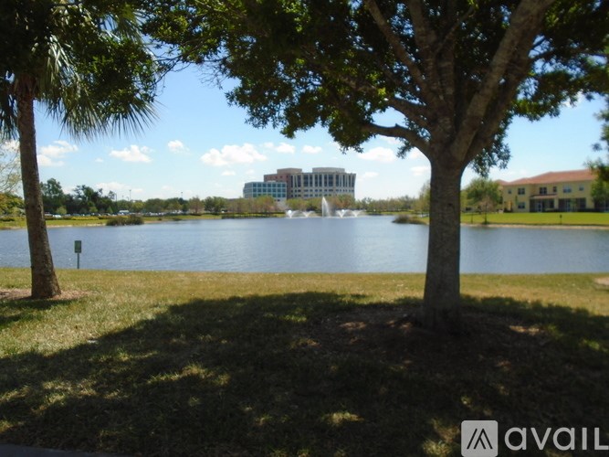 A tree stands in front of a body of water with a building in the background.