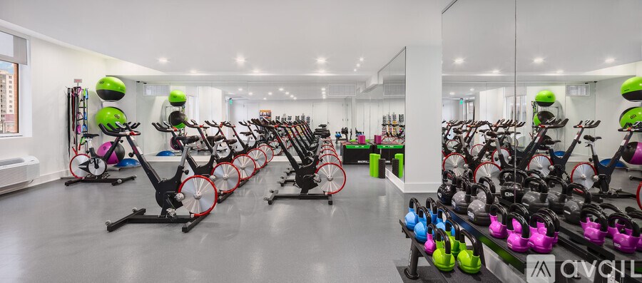 A gym with a row of stationary bikes and a row of exercise balls.