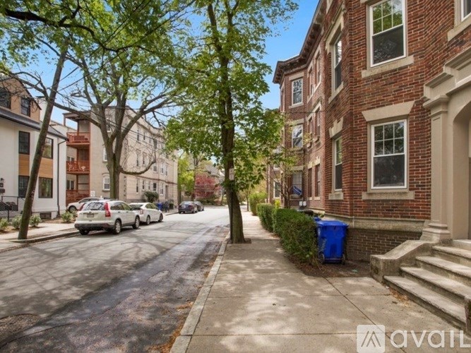 A tree-lined residential street with cars parked on the side.
