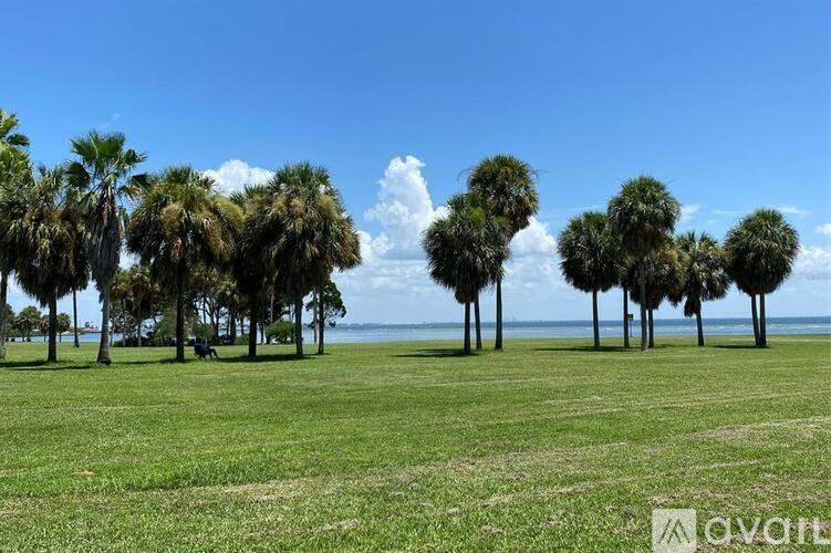 A row of palm trees in a grassy field with a body of water in the distance.
