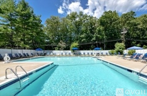A large outdoor swimming pool surrounded by trees and lounge chairs.