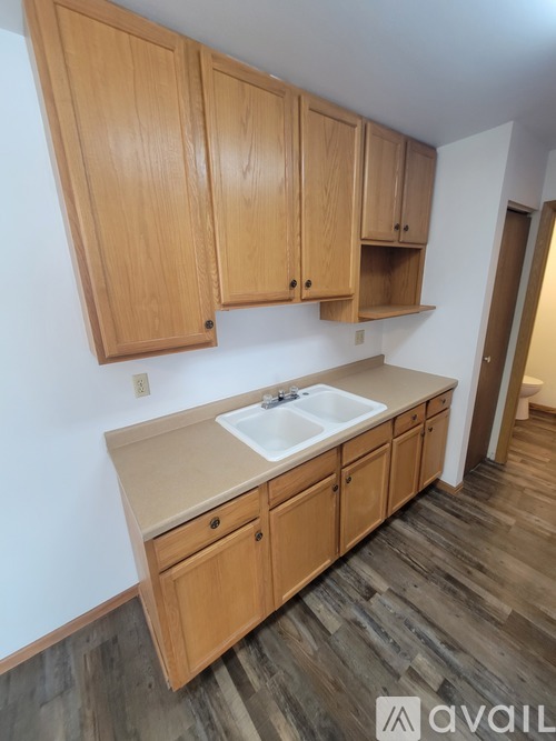 A kitchen with wooden cabinets and a sink.