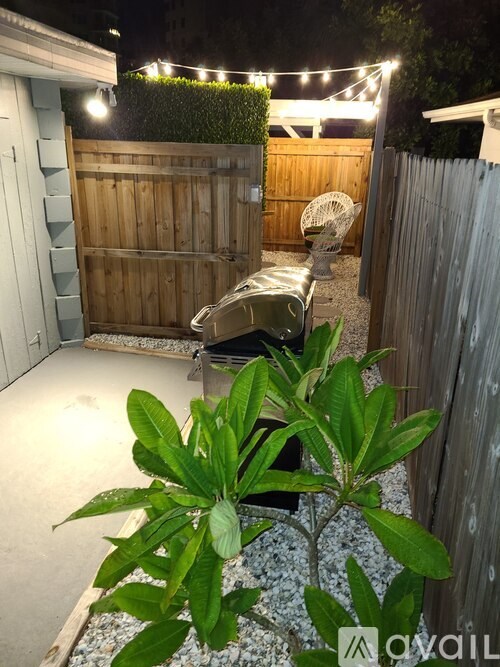 A backyard with a wooden fence and a plant in the foreground.