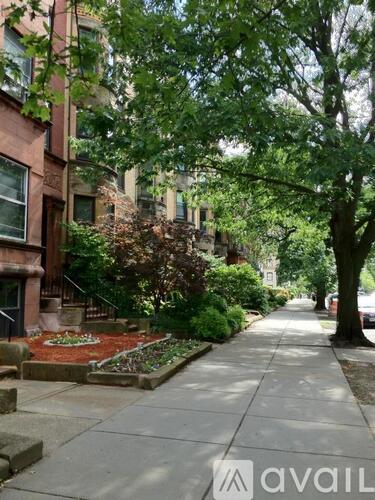 A tree-lined sidewalk in front of a brick building.