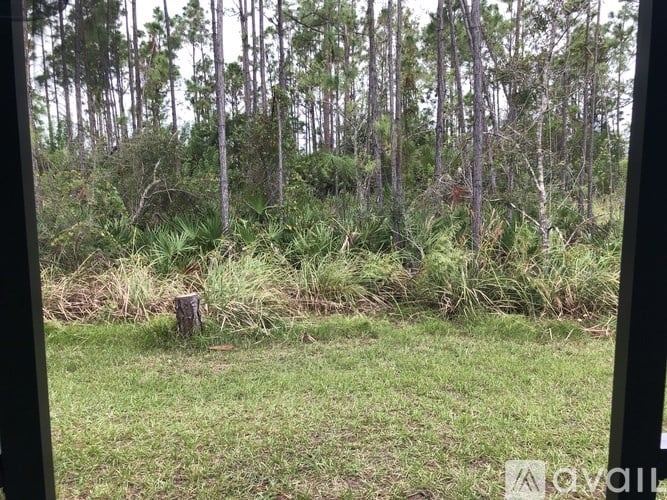 A grassy area with a tree stump in the middle of it.