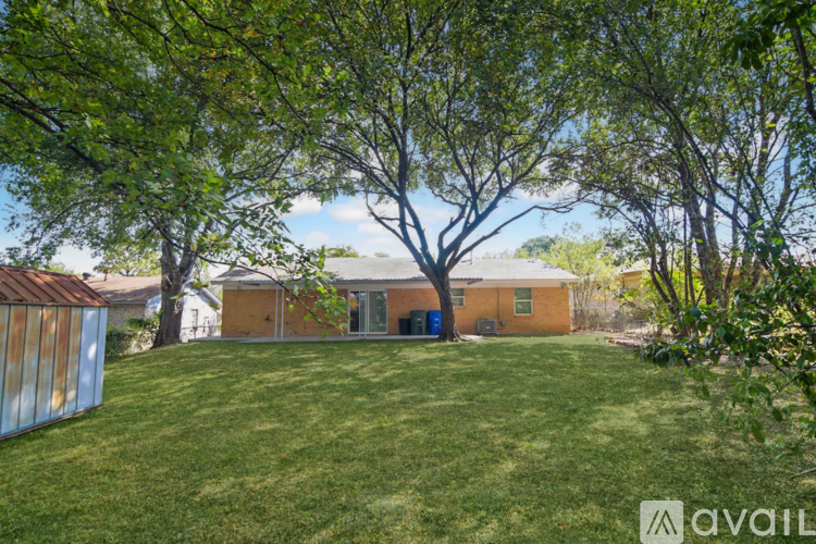 A backyard with trees and a shed in the background.