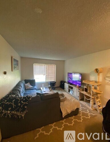 A living room with a couch, a television, and a window.