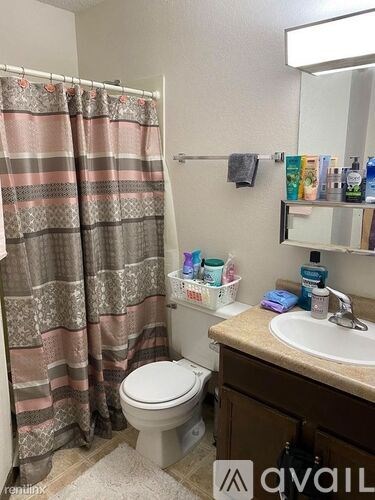 A bathroom with a toilet, sink, and shower curtain.