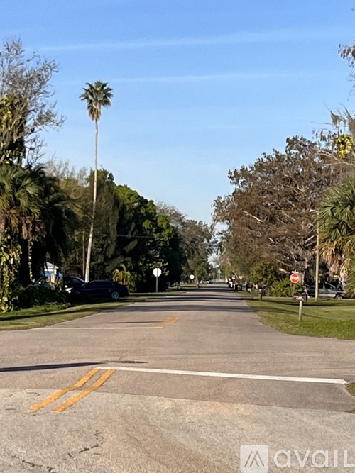 A street with a yellow line in the middle and palm trees on the side.