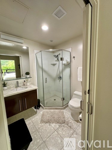 A bathroom with a walk-in shower and a toilet.