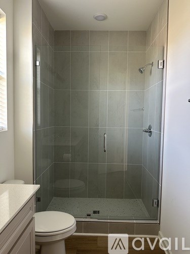 A glass shower stall with a white toilet in the corner.