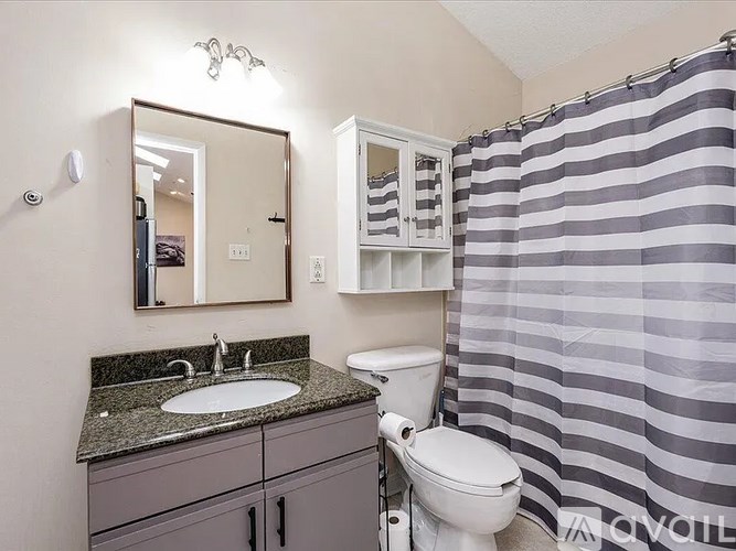 A bathroom with a sink, toilet, and striped shower curtain.