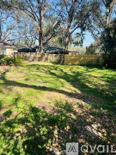 A backyard with a fence and trees.