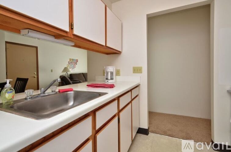 A kitchen with white cabinets and a silver sink.